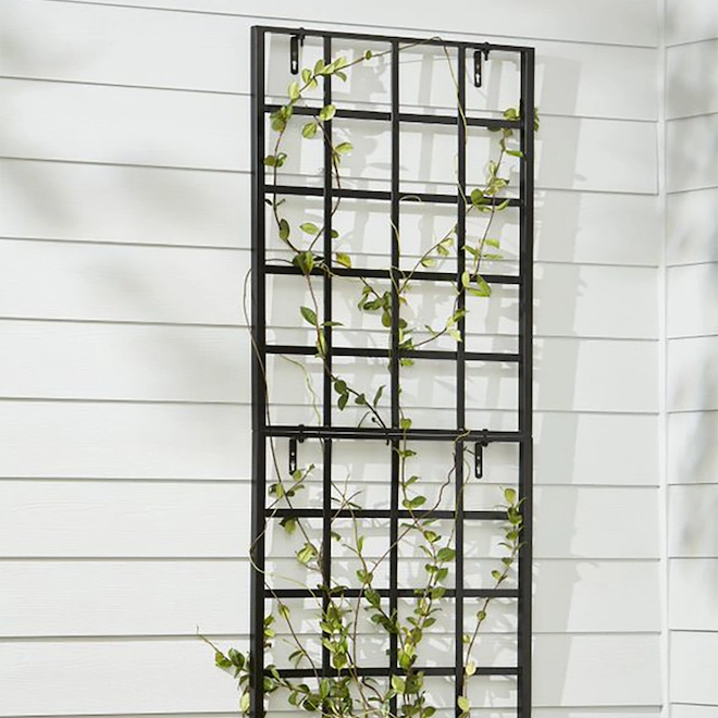 Style Selections 30-in W x 36.75-in H Black Vertical Garden Trellis 4 Style Selections 30-in W x 36.75-in H Black Vertical Garden Trellis - Image 2